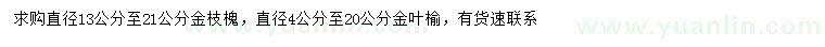 求購13-21公分金枝槐、4-20公分金葉榆