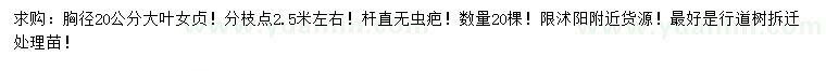 求購胸徑20公分大葉女貞