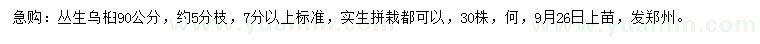 求購90公分叢生烏桕