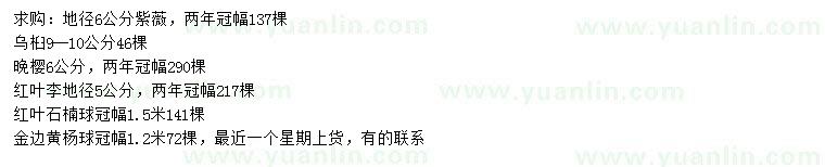 求購紫薇、烏桕、晚櫻等
