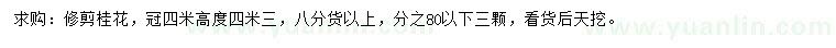 求購(gòu)冠4米桂花