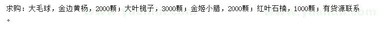 求購金邊黃楊球、大葉桅子球、金姬小臘球等