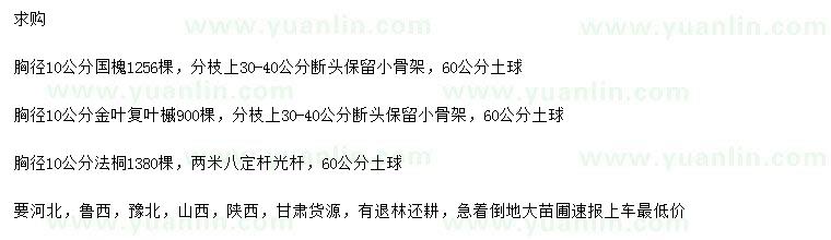 求購國槐、金葉復(fù)葉槭、法桐
