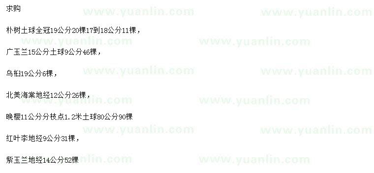 求購樸樹、廣玉蘭、烏桕等