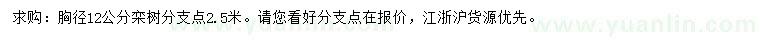 求購胸徑12公分欒樹