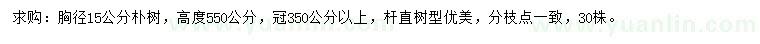 求購胸徑15公分樸樹