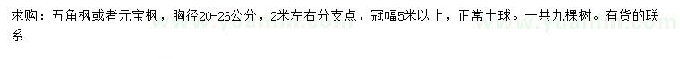求購胸徑20-26公分五角楓、元寶楓