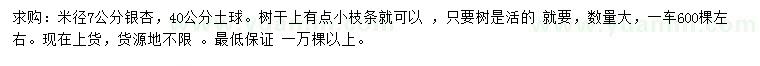 求購米徑7公分銀杏