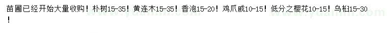 求購樸樹、黃連木、香泡等