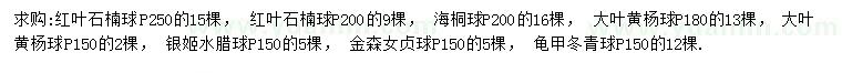 求購紅葉石楠球、海桐球、大葉黃楊球等