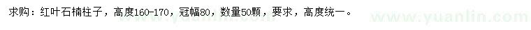 求購高160-170公分紅葉石楠柱