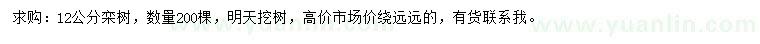 求購12公分欒樹