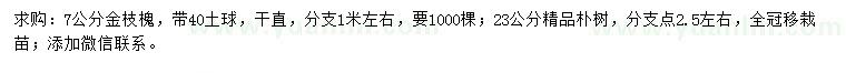 求購7公分金枝槐、23公分樸樹