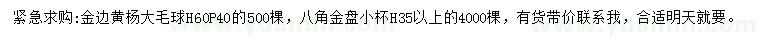 求購高60公分金邊黃楊球、高35公分以上八角金盤
