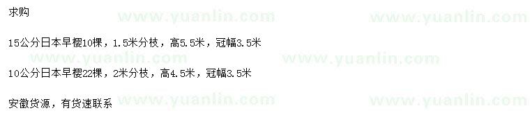 求購10、15公分日本早櫻