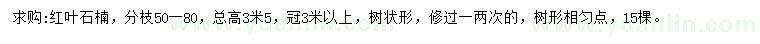求購高3.5米紅葉石楠