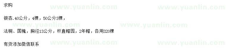 求購銀杏、法桐、國槐