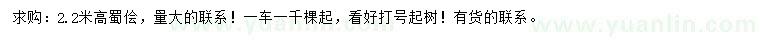 求購高2.2米蜀檜