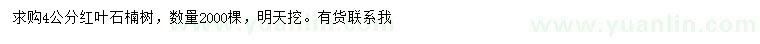求購4公分紅葉石楠