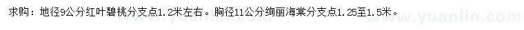 求購地徑9公分紅葉碧桃、胸徑11公分絢麗海棠