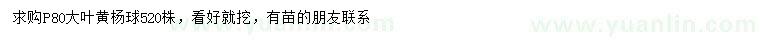 求購(gòu)冠幅80公分大葉黃楊球