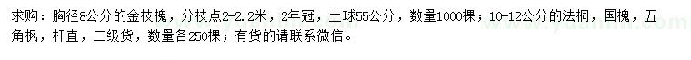 求購金枝槐、法桐、國槐等