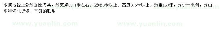 求購地徑12公分垂絲海棠