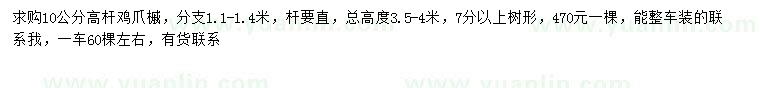 求購10公分高桿雞爪槭