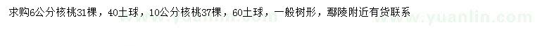 求購6、10公分核桃