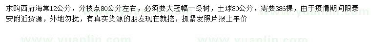 求購12公分西府海棠