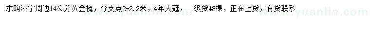 求購14公分黃金槐