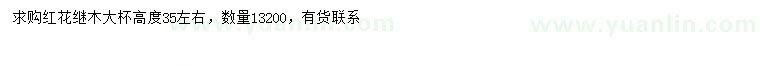 求購(gòu)高35公分左右紅花繼木