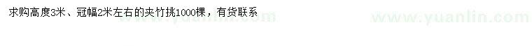 求購高3米夾竹桃