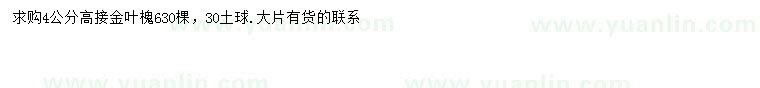 求購4公分高接金葉槐