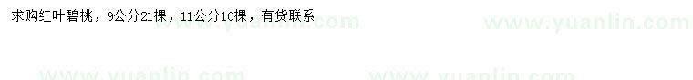求購9、11公分紅葉碧桃