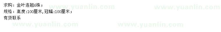 求購(gòu)高100公分金葉連翹