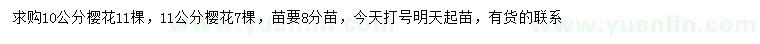 求購(gòu)10、11公分櫻花