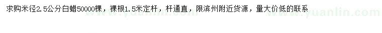求購米徑2.5公分白蠟