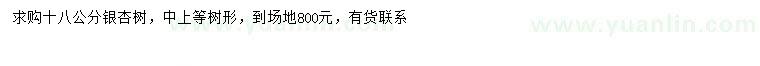 求購18公分銀杏樹