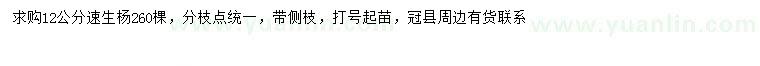 求購12公分速生楊