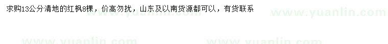 求購13公分紅楓