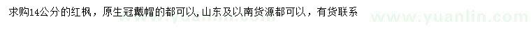 求購14公分紅楓