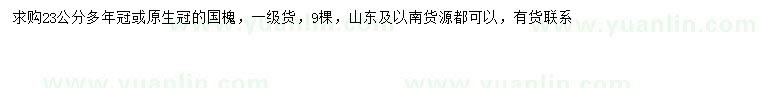 求購23公分國槐