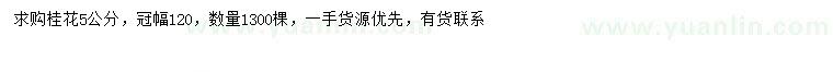 求購5公分桂花