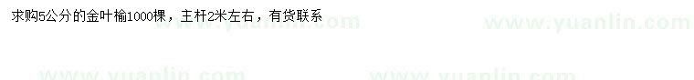 求購5公分金葉榆