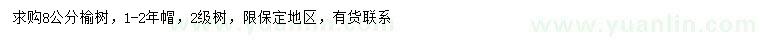 求購8公分榆樹