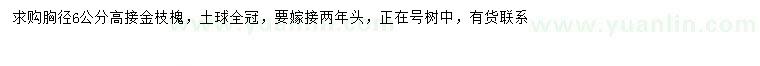 求購胸徑6公分高接金枝槐