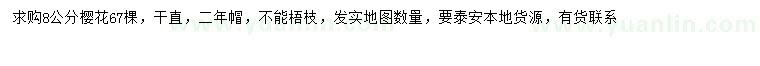 求購(gòu)8公分櫻花