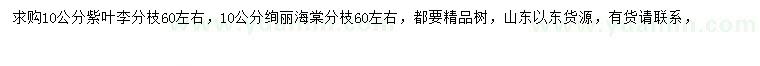 求購10公分紫葉李、絢麗海棠