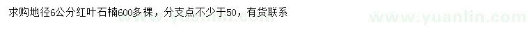 求購地徑6公分紅葉石楠